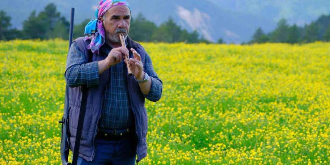 Sarı çiçeklere bürünen çayırları, buz gibi akan çeşmeleri... Gümüşhane’nin 950 rakımda masal diyarı 8